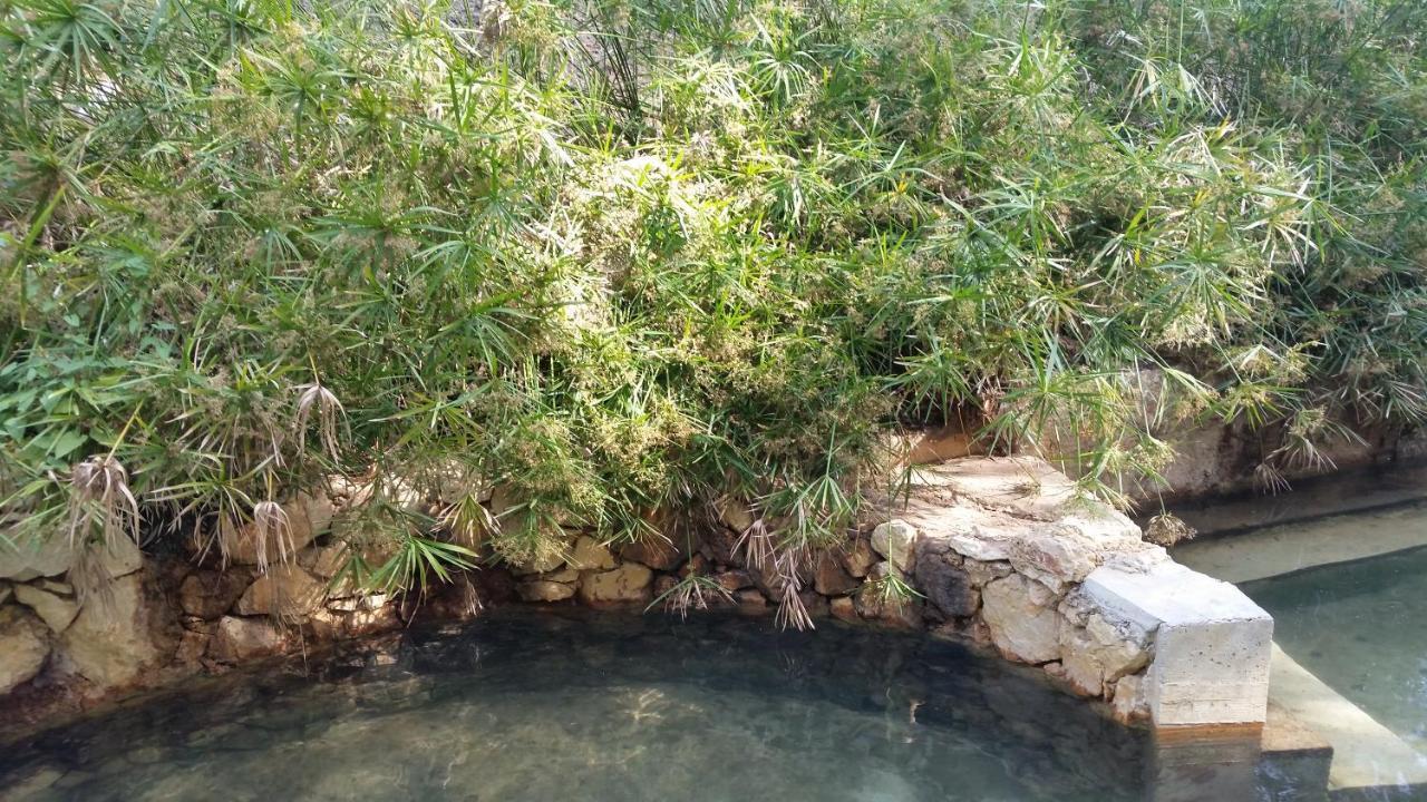 La Favorita Apartment Marsala Dış mekan fotoğraf